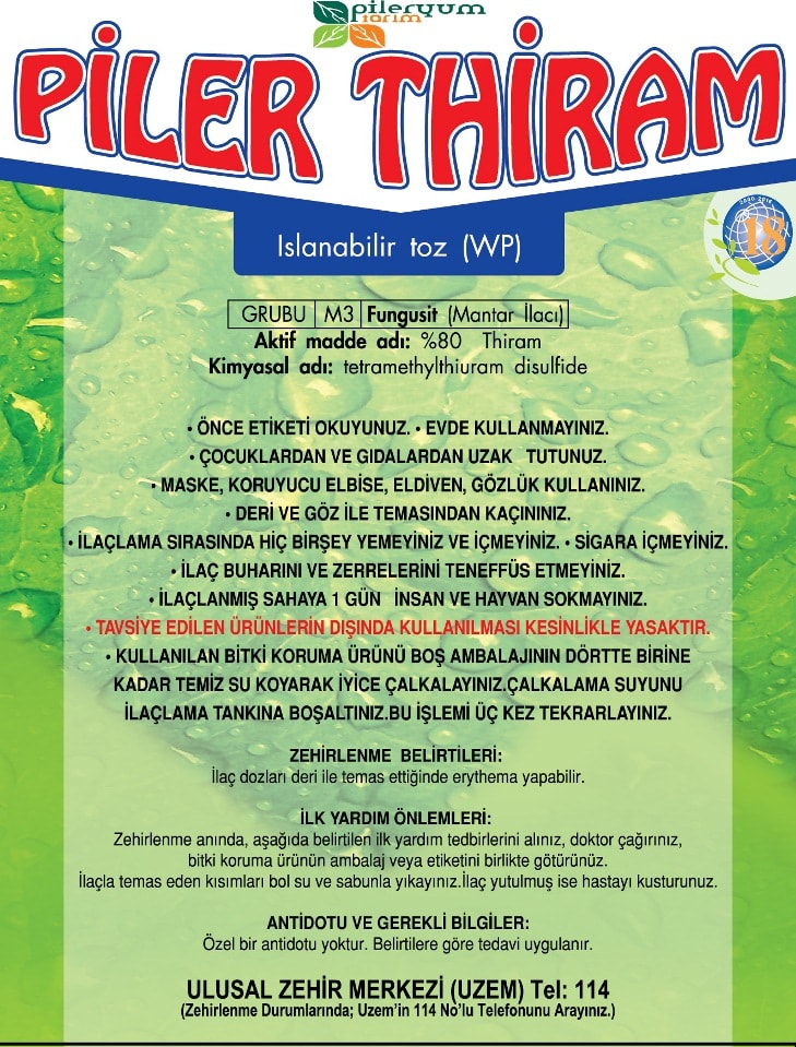 PİLER-THİRAM